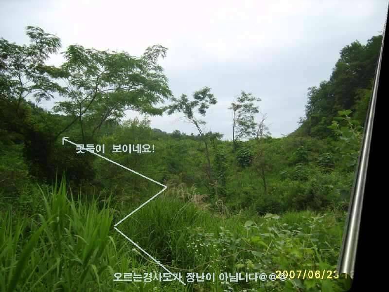 동반의 낚여정 상주 공성면 영오리 계곡지에서 (조황조행기 - 화보조행기)