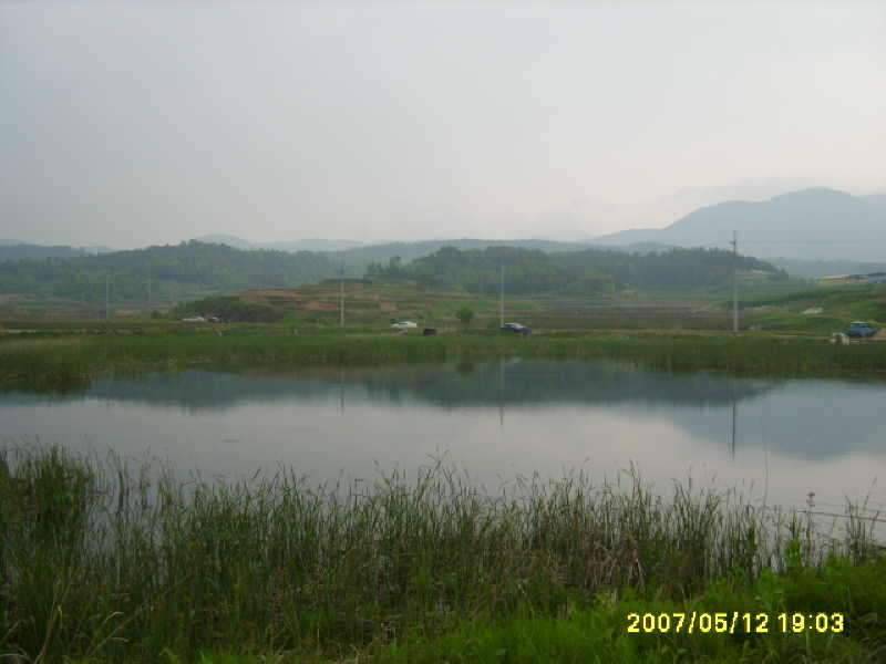 동반의 낚여정 의성 산정지에서 (조황조행기 - 화보조행기)