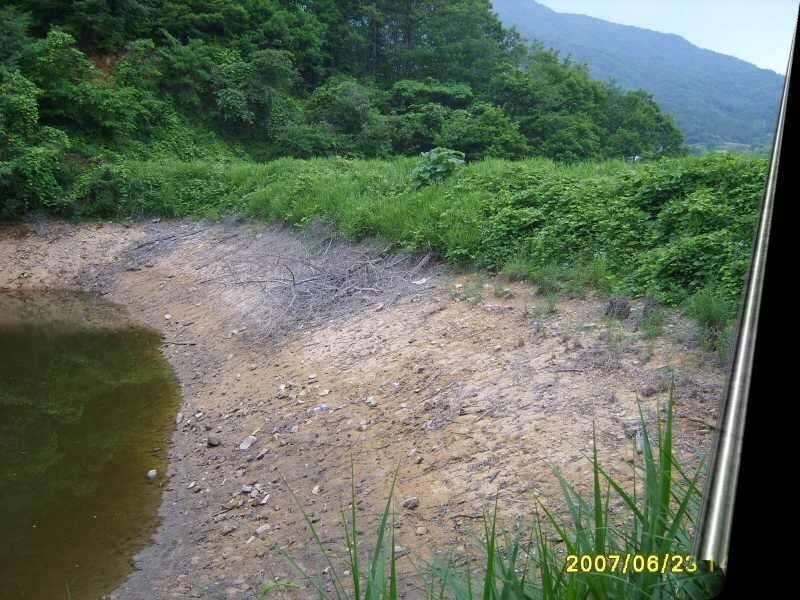 동반의 낚여정 상주 공성면 영오리 계곡지에서 (조황조행기 - 화보조행기)
