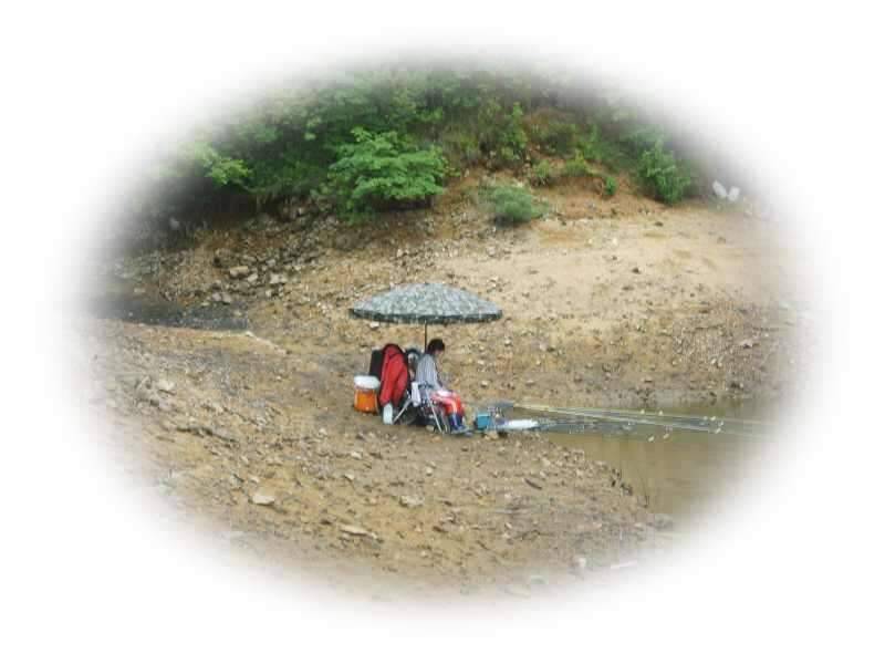 동반의 낚여정 상주 공성면 영오리 계곡지에서 (조황조행기 - 화보조행기)