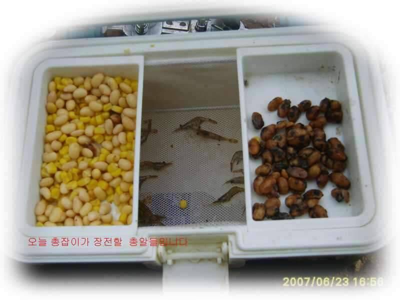 동반의 낚여정 상주 공성면 영오리 계곡지에서 (조황조행기 - 화보조행기)