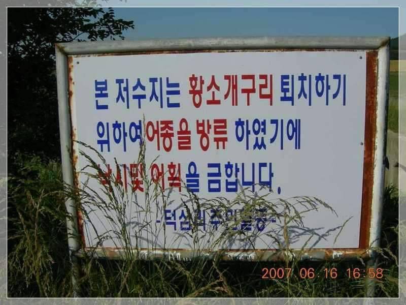 서부낚동 6월 정출 당진 덕삼지 (조황조행기 - 화보조행기)