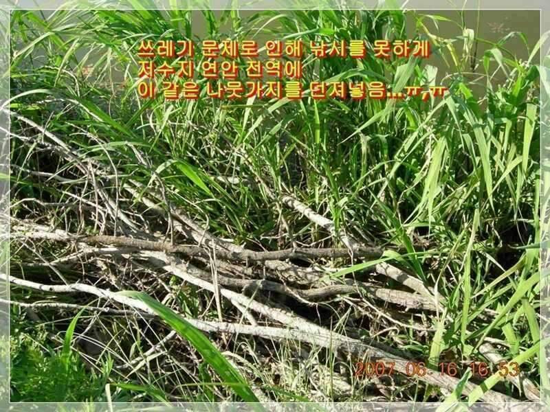 서부낚동 6월 정출 당진 덕삼지 (조황조행기 - 화보조행기)