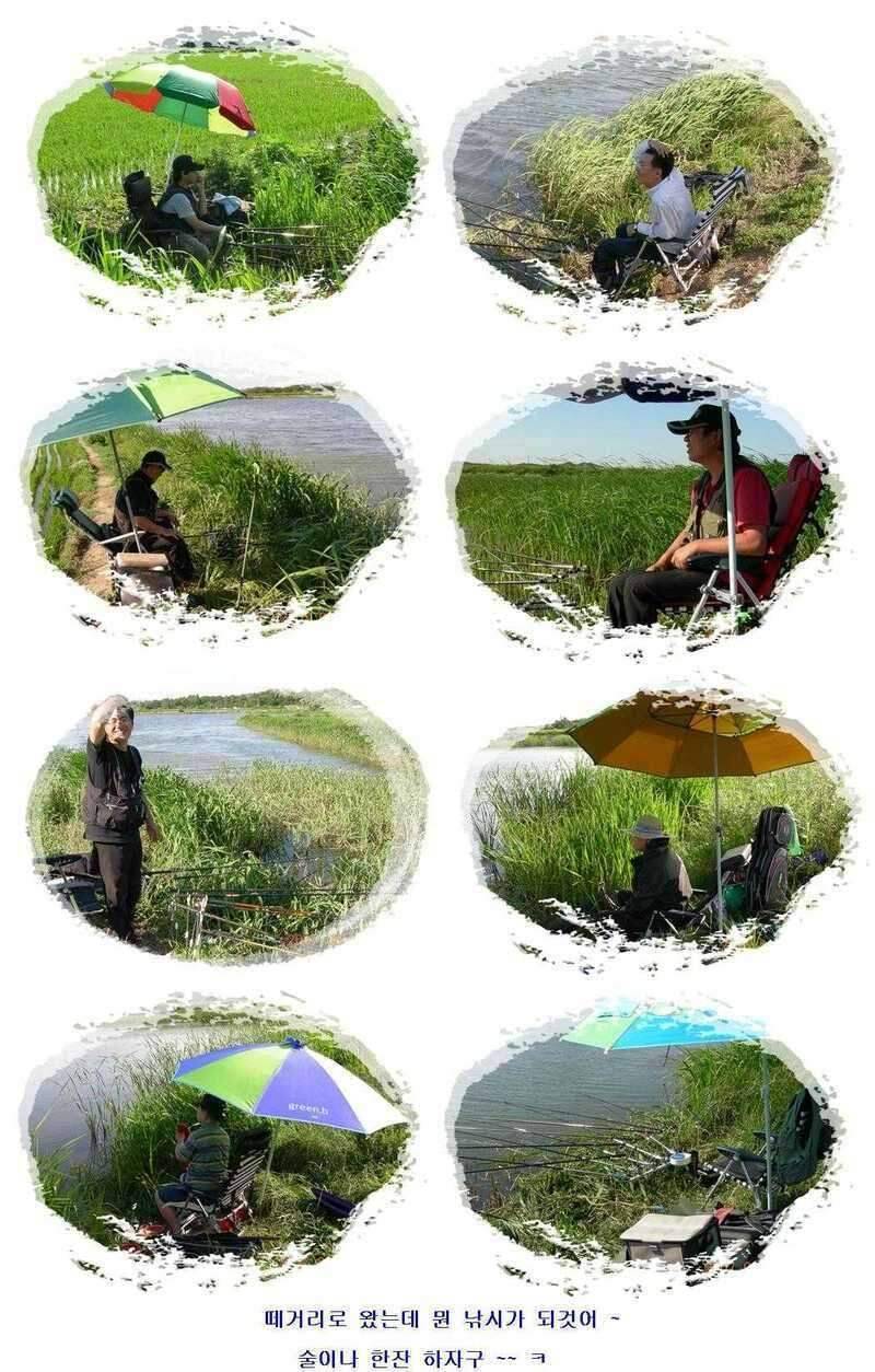 서부낚동 6월 정출 당진 덕삼지 (조황조행기 - 화보조행기)