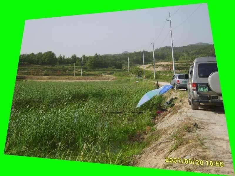 동반의 낚 여정 의성 산정지2 (조황조행기 - 화보조행기)