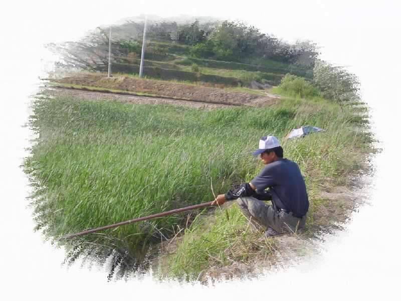 동반의 낚 여정 의성 산정지2 (조황조행기 - 화보조행기)