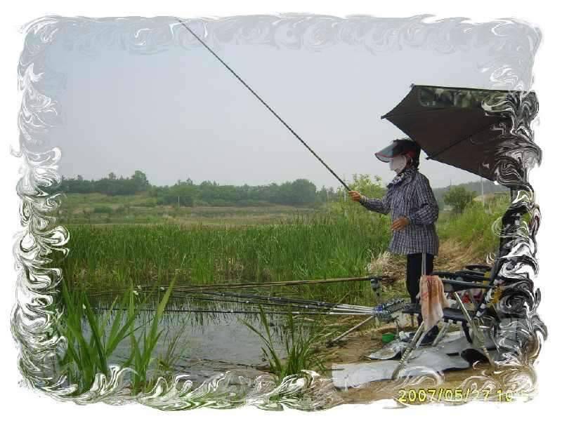 동반의 낚 여정 의성 산정지2 (조황조행기 - 화보조행기)