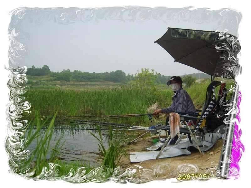 동반의 낚 여정 의성 산정지2 (조황조행기 - 화보조행기)