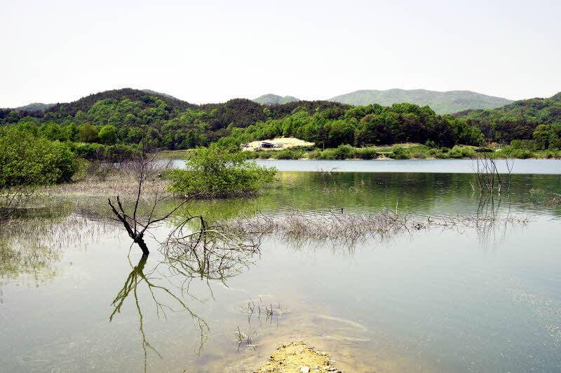 섣부른 판단 시기적 포인트의 패착 (조황조행기 - 화보조행기)