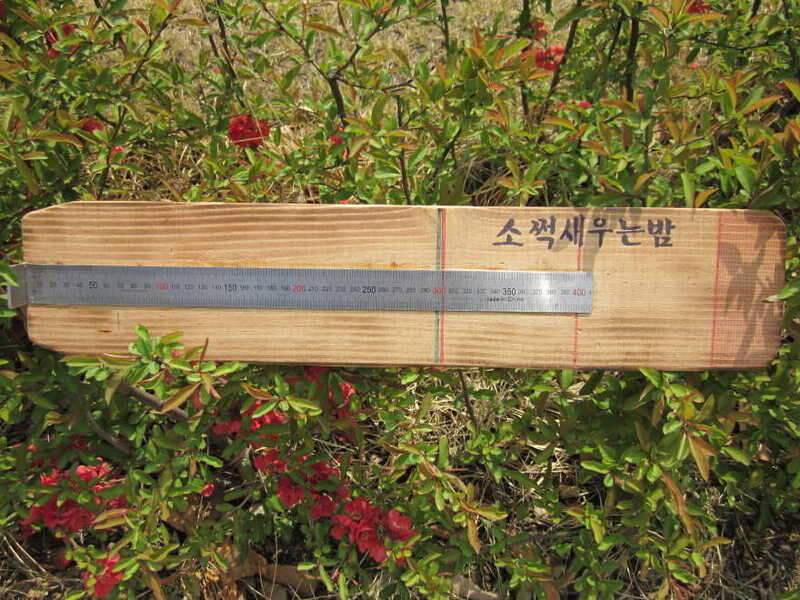 소쩍새의 조행기29 꿩대신 (조황조행기 - 화보조행기)