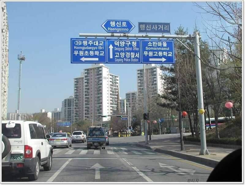 아들과 동행 (조황조행기 - 화보조행기)