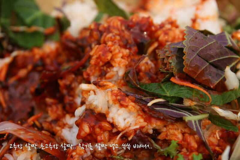얼쑤평택호 봄이 왔네 (조황조행기 - 화보조행기)