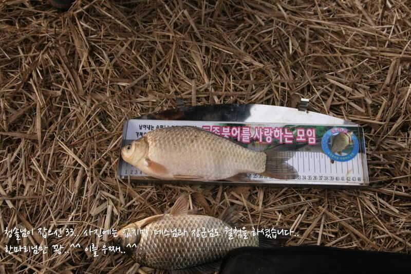 얼쑤평택호 봄이 왔네 (조황조행기 - 화보조행기)