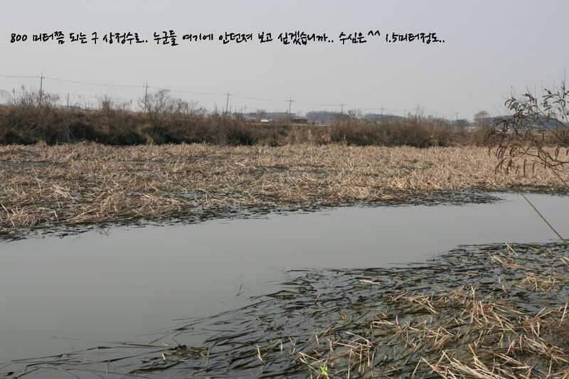 대부도 삼정수로 길음리 무박2일 (조황조행기 - 화보조행기)