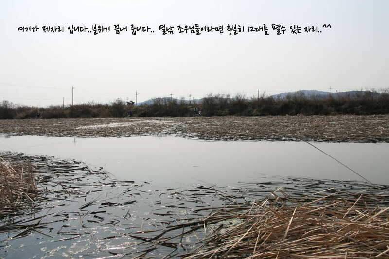 대부도 삼정수로 길음리 무박2일 (조황조행기 - 화보조행기)
