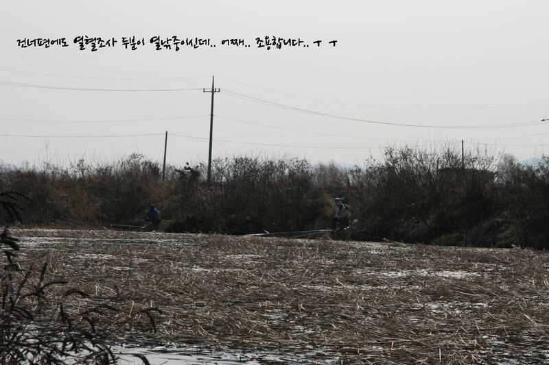 대부도 삼정수로 길음리 무박2일 (조황조행기 - 화보조행기)