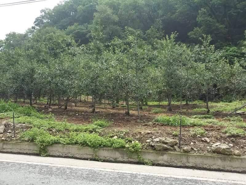 내륙의 바다 극강 오지 단돈리를 찾아 (조황조행기 - 화보조행기)