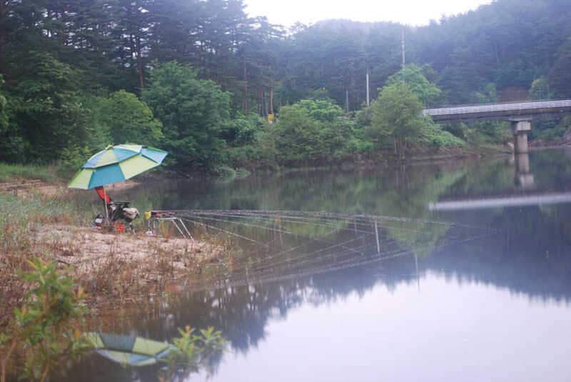 부르스의 대물특급2박3일강원도권 (조황조행기 - 화보조행기)