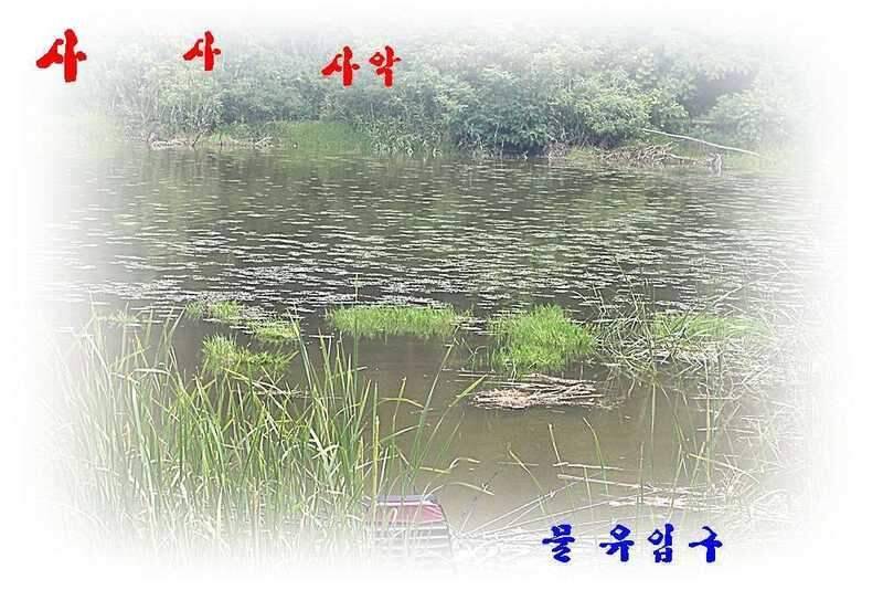 새물찬스 대향연 (조황조행기 - 화보조행기)