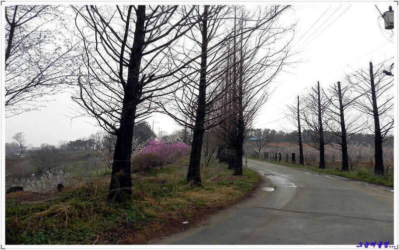 둠벙을 가다 (조황조행기 - 화보조행기)