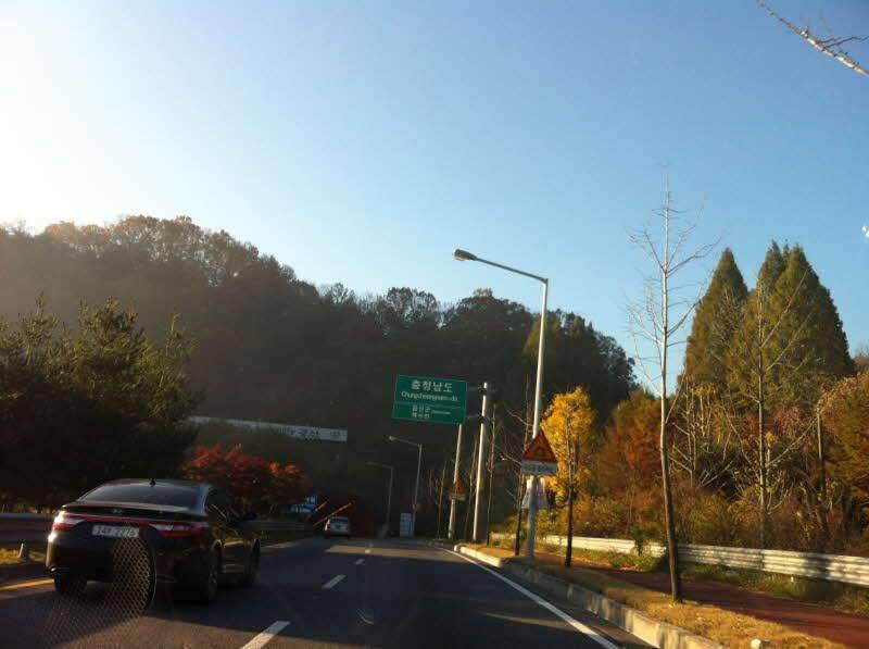 골짜기8편 (조황조행기 - 화보조행기)