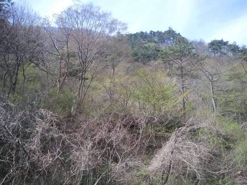 그리운 님과의 만남 (조황조행기 - 화보조행기)