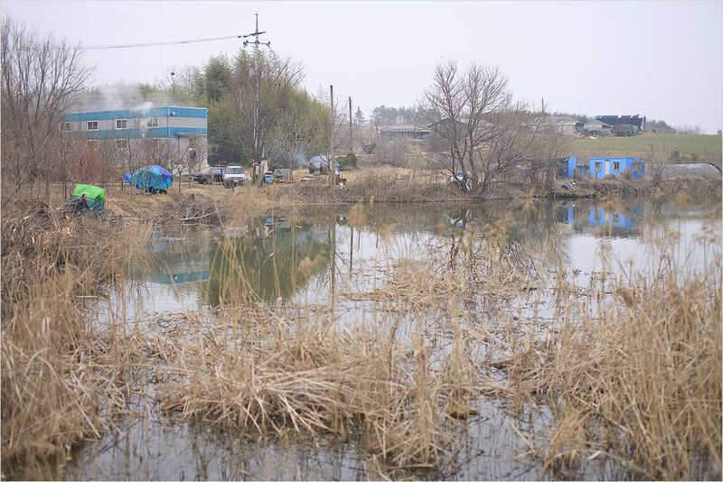 ASSO Fishing Club 시조회 (조황조행기 - 화보조행기)