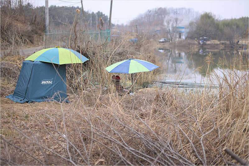 ASSO Fishing Club 시조회 (조황조행기 - 화보조행기)