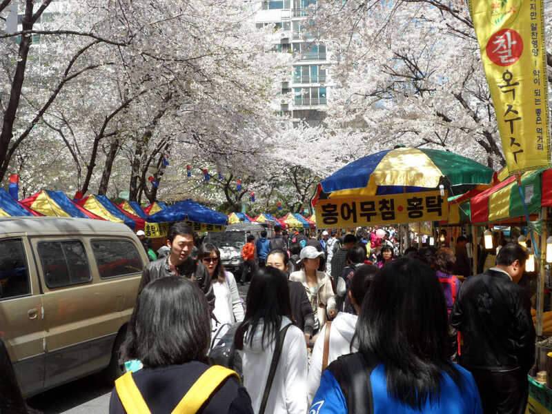 月下日記 그 세번째꽃보다 아름다운 월척 봄붕어 (조황조행기 - 화보조행기)