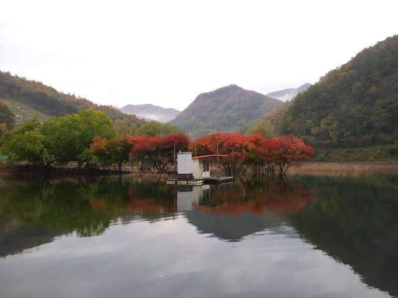 충주호 하천낚시터 좌대낚시 (조황조행기 - 화보조행기)