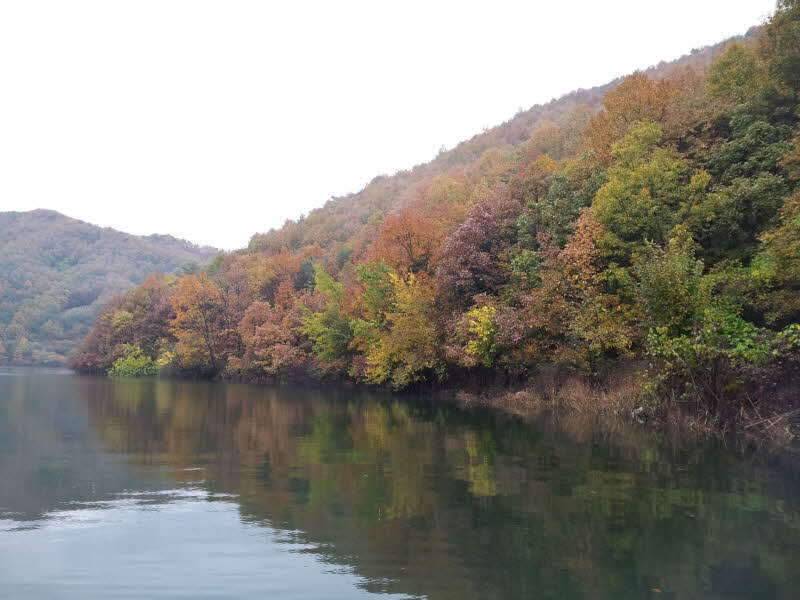 충주호 하천낚시터 좌대낚시 (조황조행기 - 화보조행기)