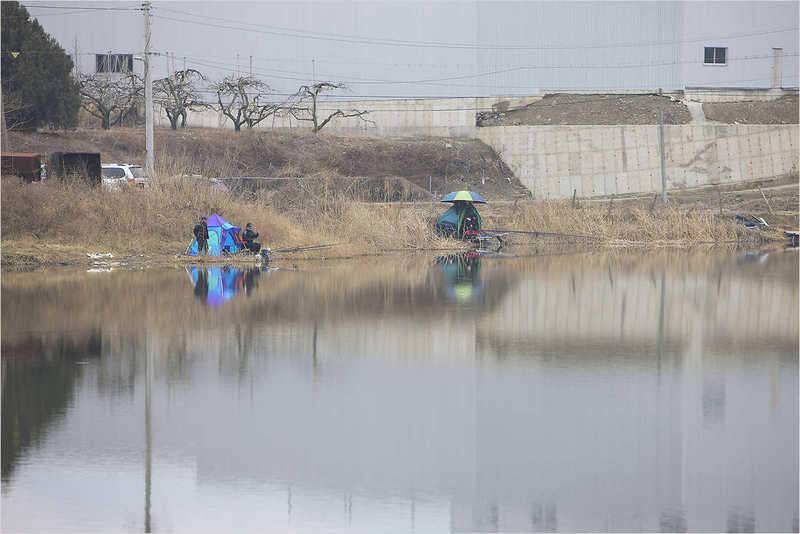 ASSO Fishing Club 시조회 (조황조행기 - 화보조행기)