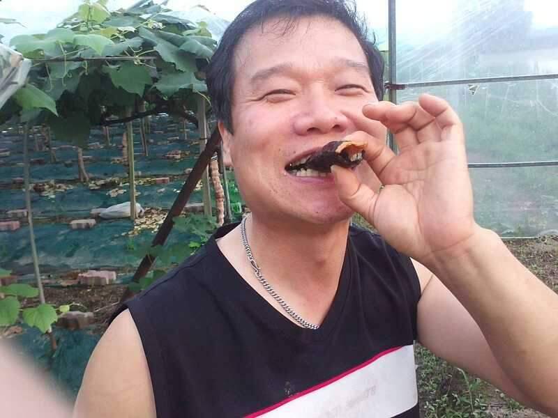김천곡송지 출조했습니다 (조황조행기 - 화보조행기)