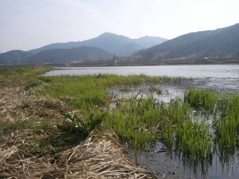 그리운 님과의 만남 (조황조행기 - 화보조행기)