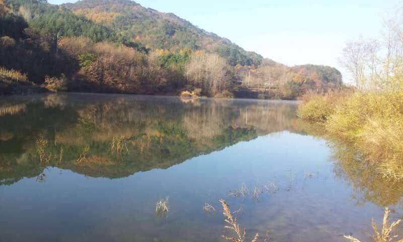 안녕하세요 다윤아빠 낚시댕겨왔어요 (조황조행기 - 화보조행기)