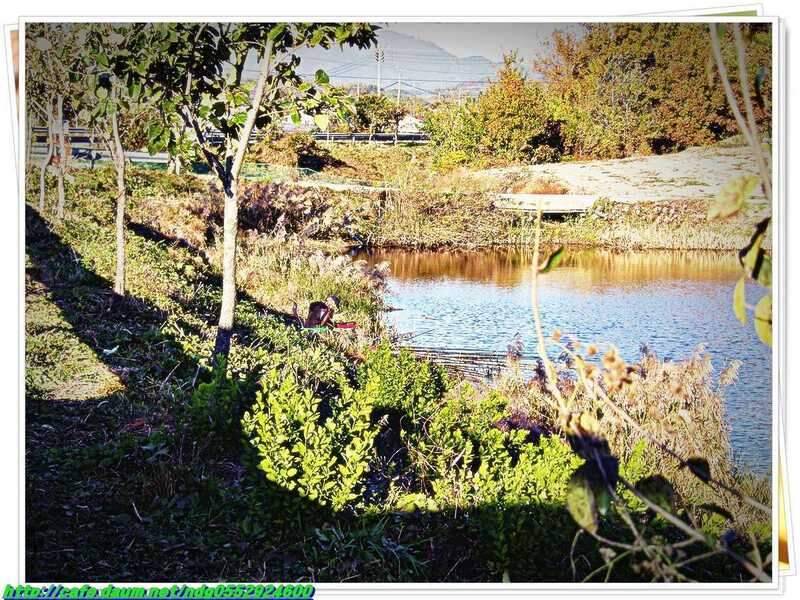 춥다 (조황조행기 - 화보조행기)
