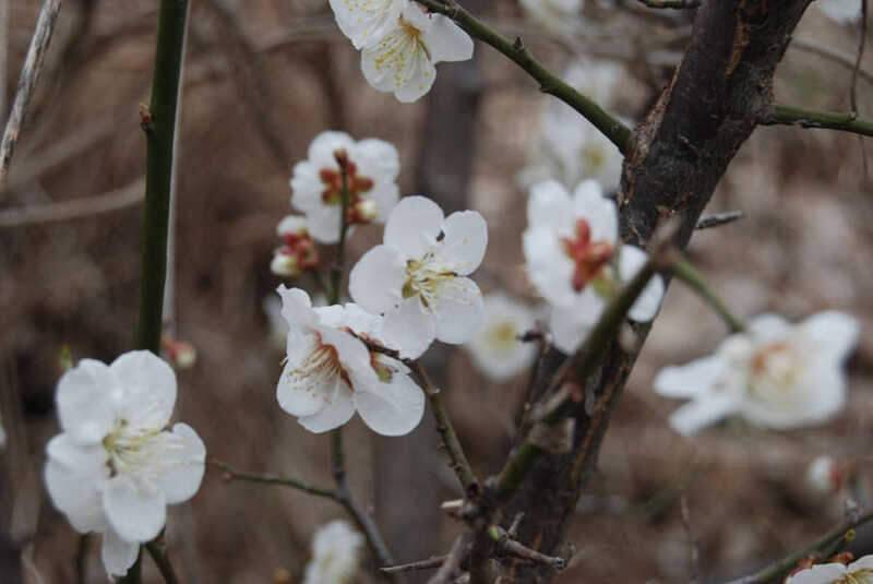 궁금하세요 (조황조행기 - 화보조행기)