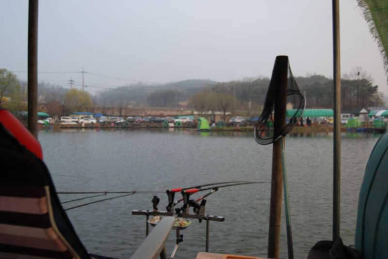 궁금하세요 (조황조행기 - 화보조행기)
