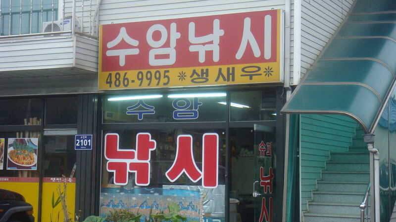 헛챔질의조행기 18 (조황조행기 - 화보조행기)