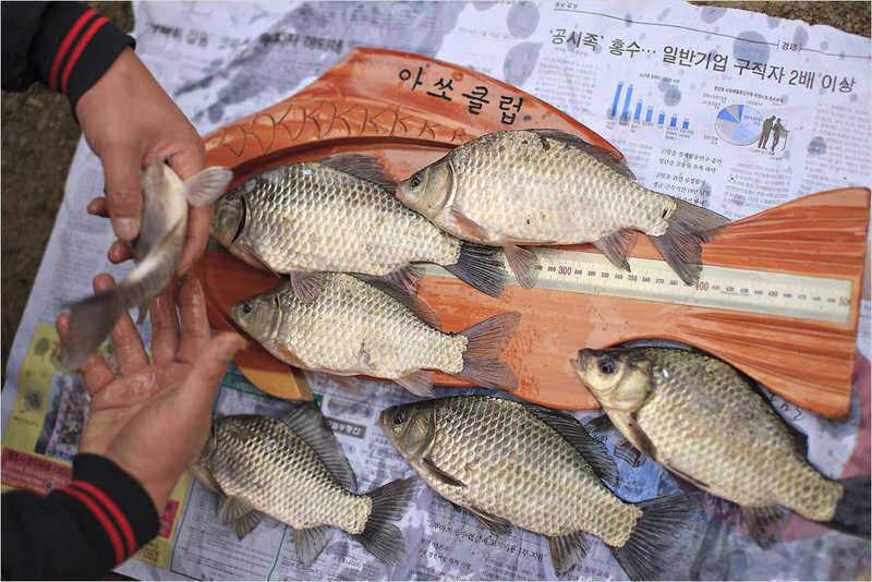 ASSO Fishing Club 시조회 (조황조행기 - 화보조행기)