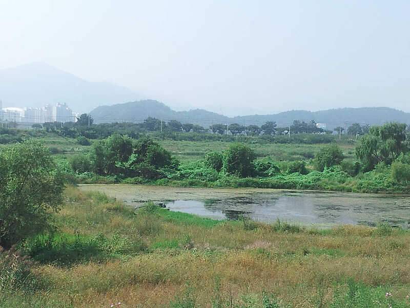 있는 그대로 (조황조행기 - 화보조행기)