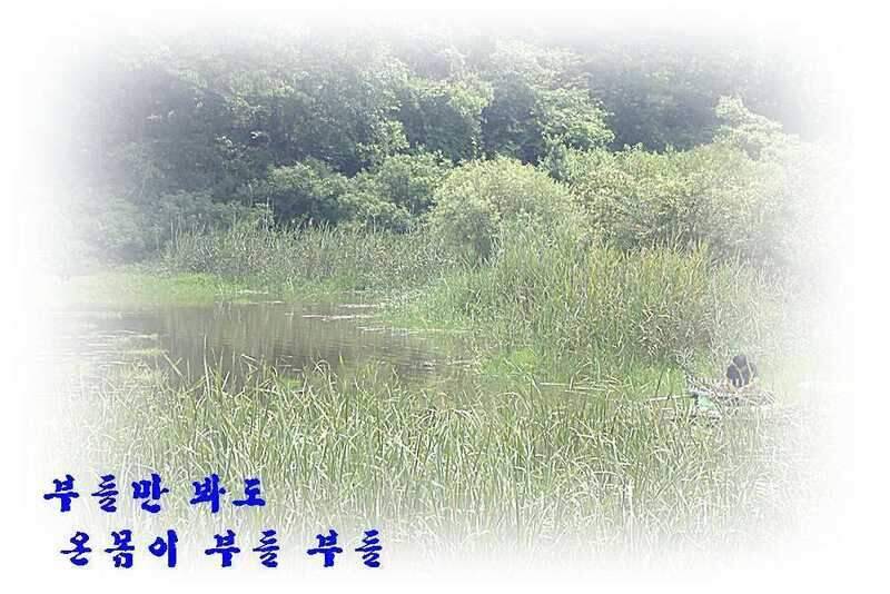 새물찬스 대향연 (조황조행기 - 화보조행기)