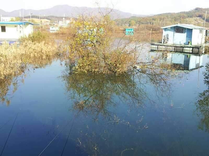 송전지 수상좌대 조행기 (조황조행기 - 화보조행기)
