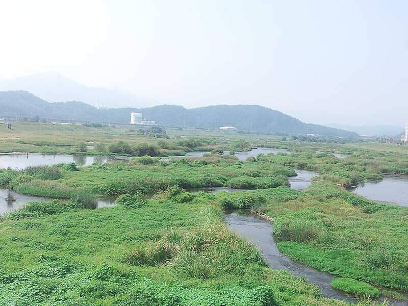 있는 그대로 (조황조행기 - 화보조행기)