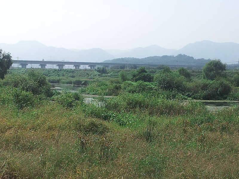 있는 그대로 (조황조행기 - 화보조행기)