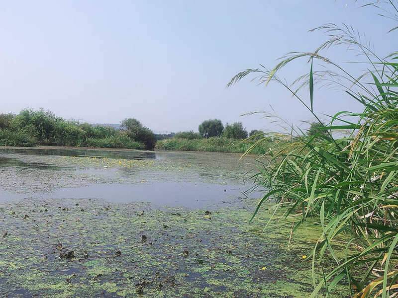 있는 그대로 (조황조행기 - 화보조행기)