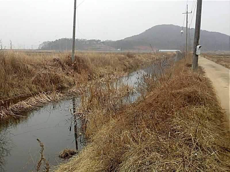 사짜를 찾아서 (조황조행기 - 화보조행기)