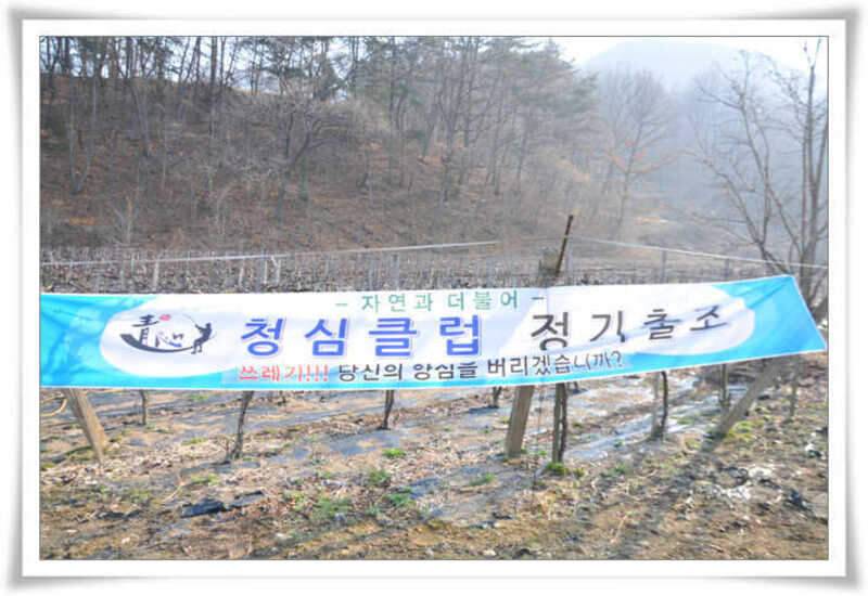 청심클럽 쓰레기 없는 낚시터 만들기 1편 (조황조행기 - 화보조행기)