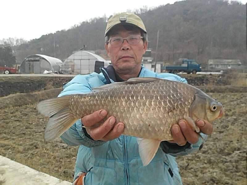 사짜를 찾아서 (조황조행기 - 화보조행기)