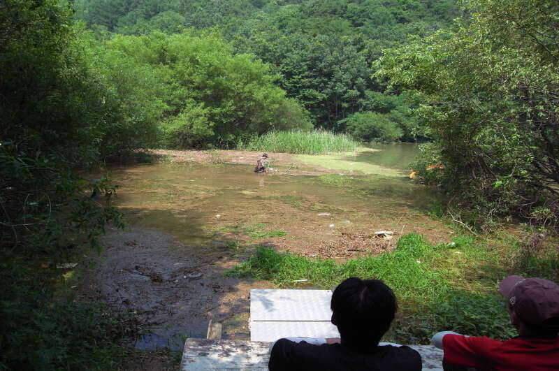 붕어사랑 조행기4회 8박9일 (조황조행기 - 화보조행기)